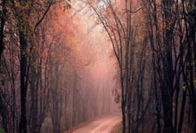 指定买球官方平台 -利元亨(688499.SH)：拟定增募资不超16.18亿元