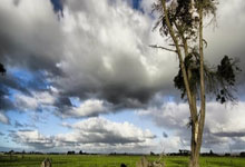 指定买球官方平台 -利元亨(688499.SH)：拟定增募资不超16.18亿元